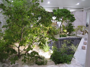 Garden in White