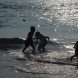 写真集『象と大樹と子供たち～Over the War，Over the Tsunami，Sri Lanka～』（角川学芸出版）より／2009年