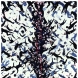 「上昇志降」 2006 キャンバスにアクリル 260.8×186.3cm 撮影：宮島径