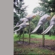 「EDEN」1989年 東京野外現代彫刻展 H330×W600×D100(cm)
