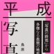 『平成写真小史』日本写真企画　2021年刊